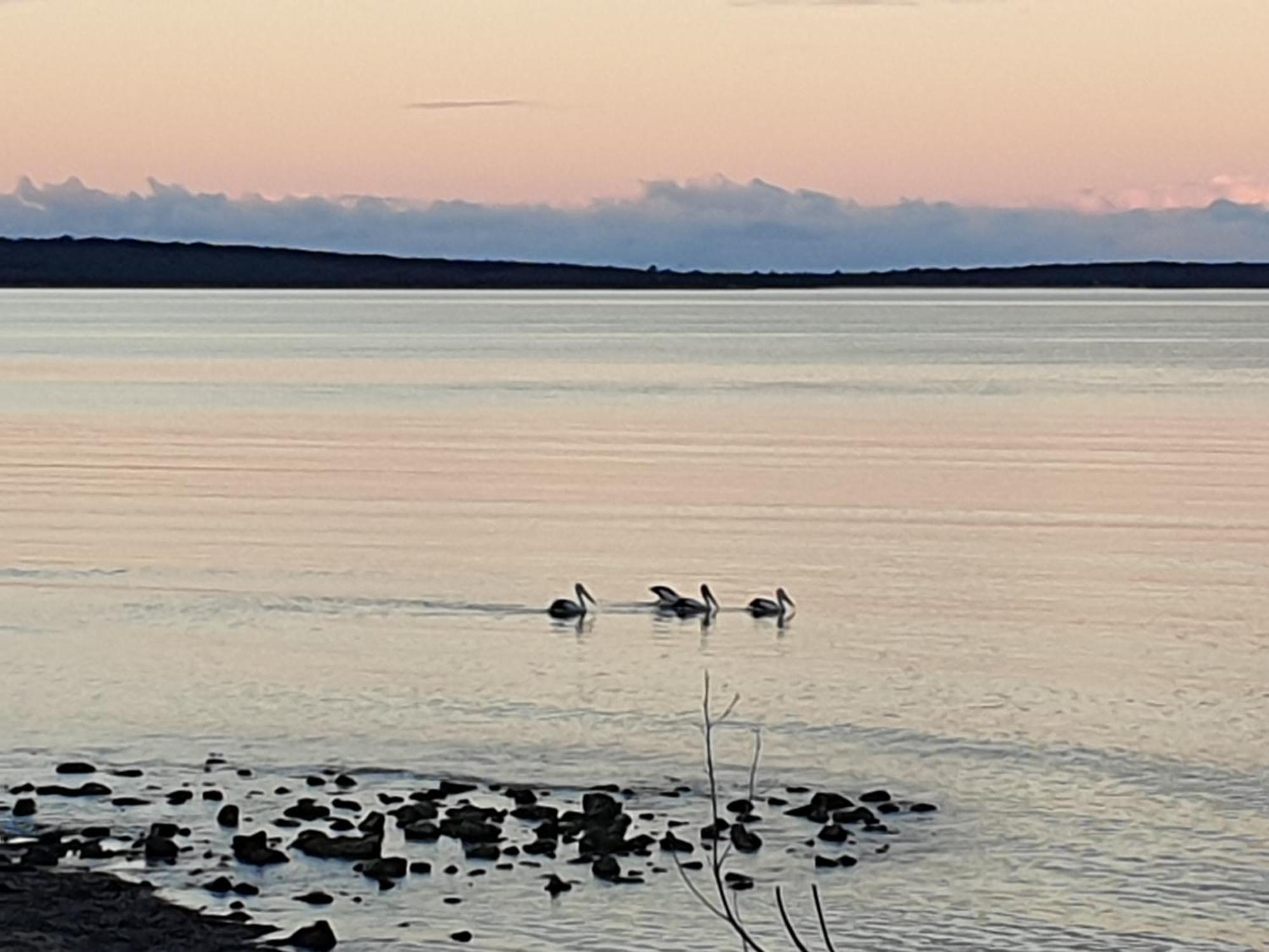 North Shields Port Lincoln Caravan Park מראה חיצוני תמונה